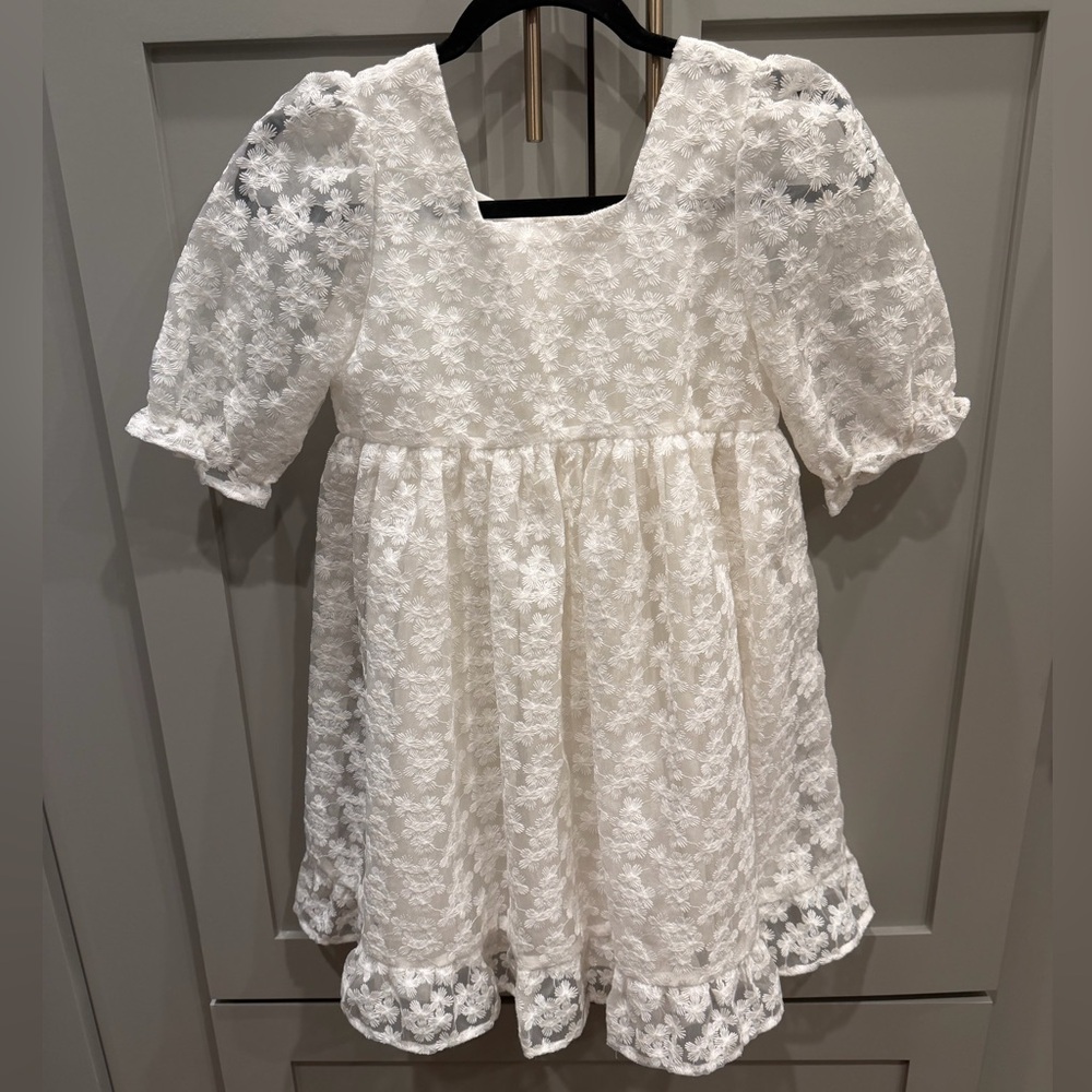 Noralee Embroidered Organza Quinn Dress (10)